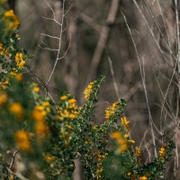 Foto: Valerio Baranović