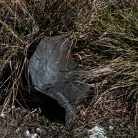 Foto: Valerio Baranović