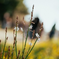 Foto: Valerio Baranović