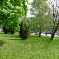 Bolnica u Karlovcu, foto: Maja Marković